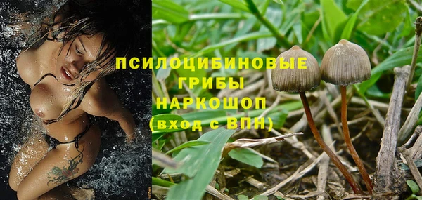соль ск Арсеньев