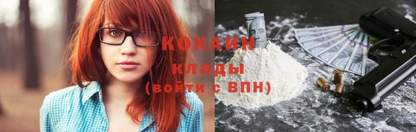 дживик Аркадак